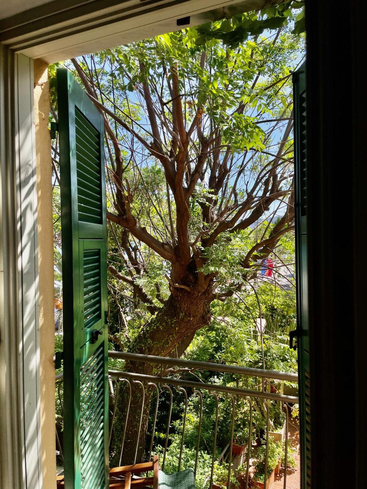 Hotel Beau Rivage Alassio Esterno foto